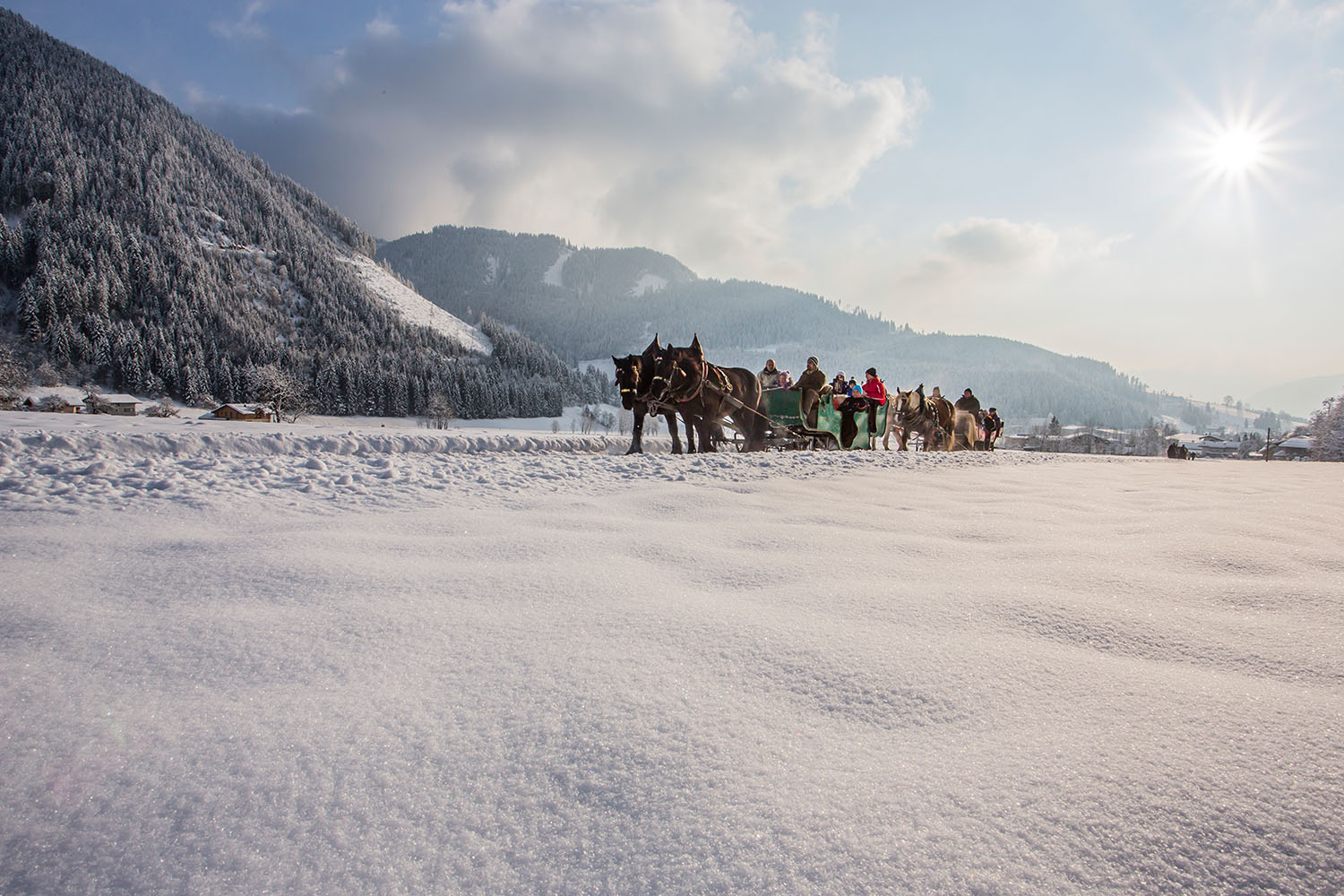 Pferdeschlittenfahrt im Lungau - Salzburg